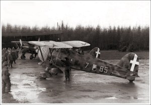 Falco-aSA-85-7Ursel-Belgium